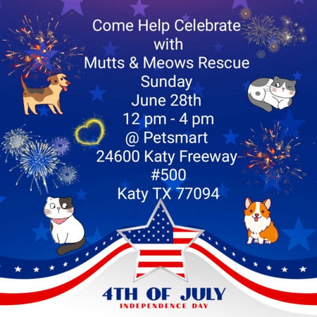 Fosters For The 4th Adoption Event