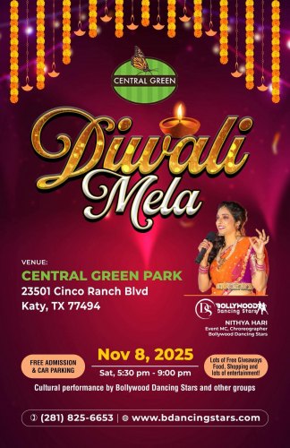 Diwali Mela at Central Green Park