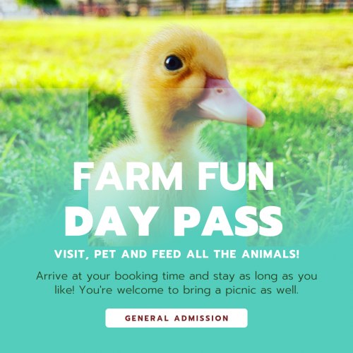 Farm Day Pass at ROSE Therapeutic Farm