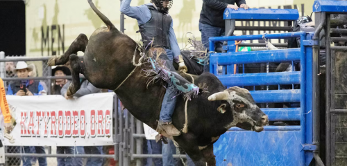 Katy Livestock Show & Rodeo 2026