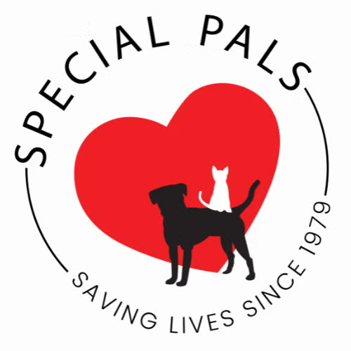 Same Day Pet Adoption Event