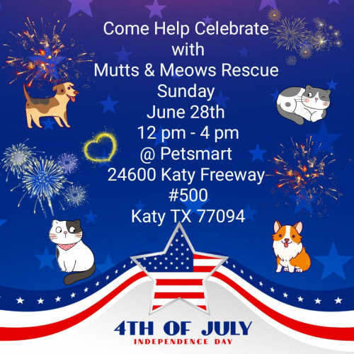Fosters For The 4th Adoption Event