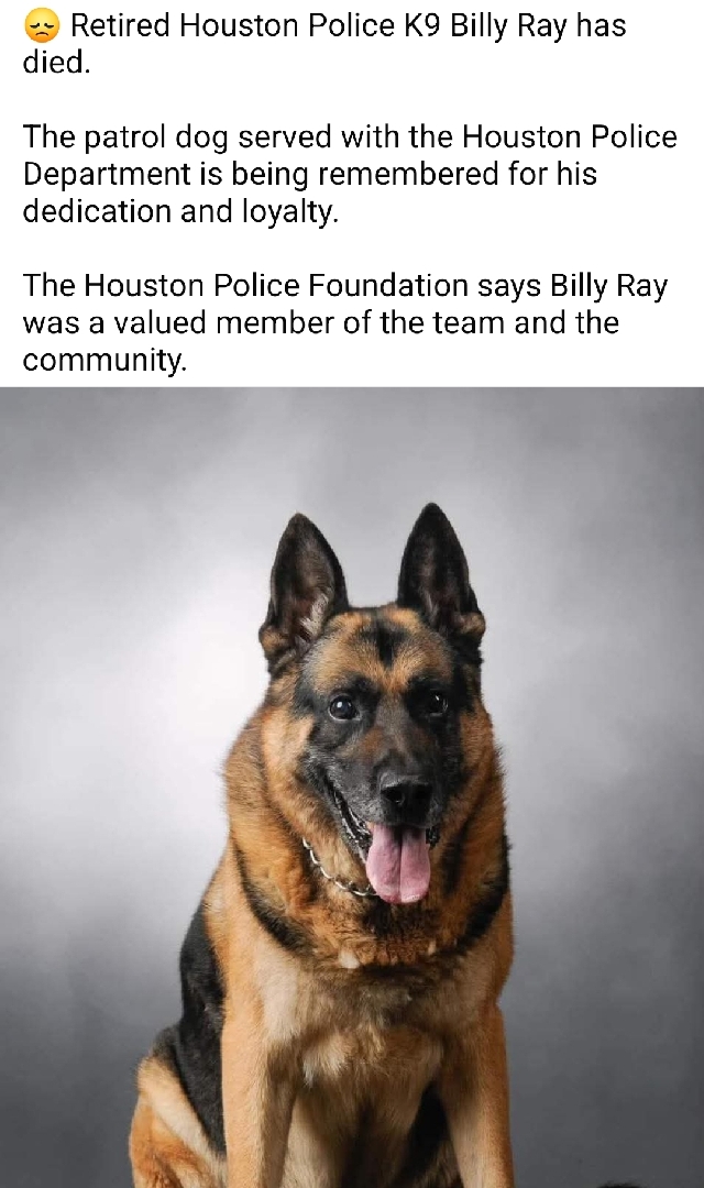 Billy Brown Rip RIP Billy